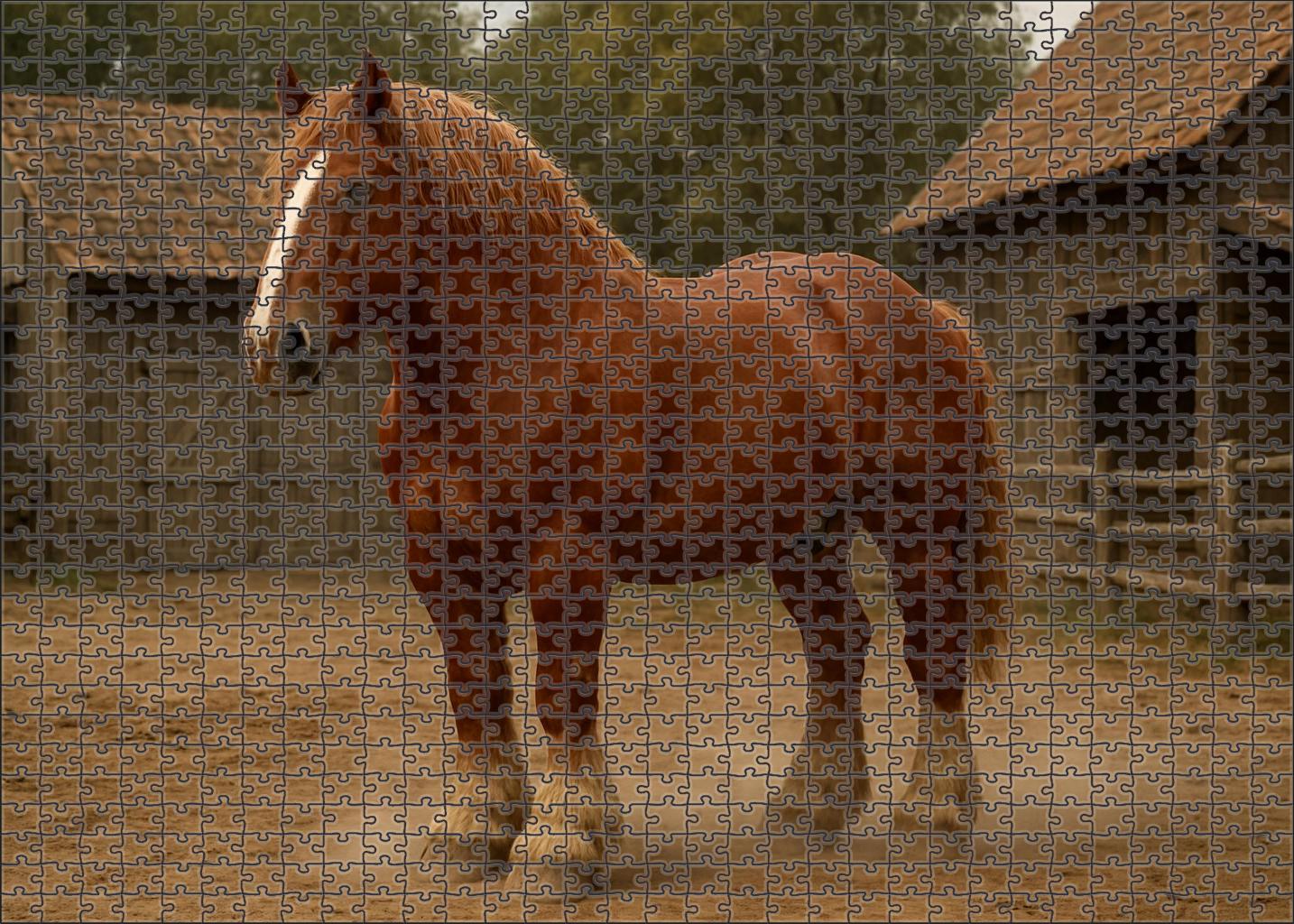 Golden Harvest Draft Massive Sorrel Workhorse Challenging Puzzles