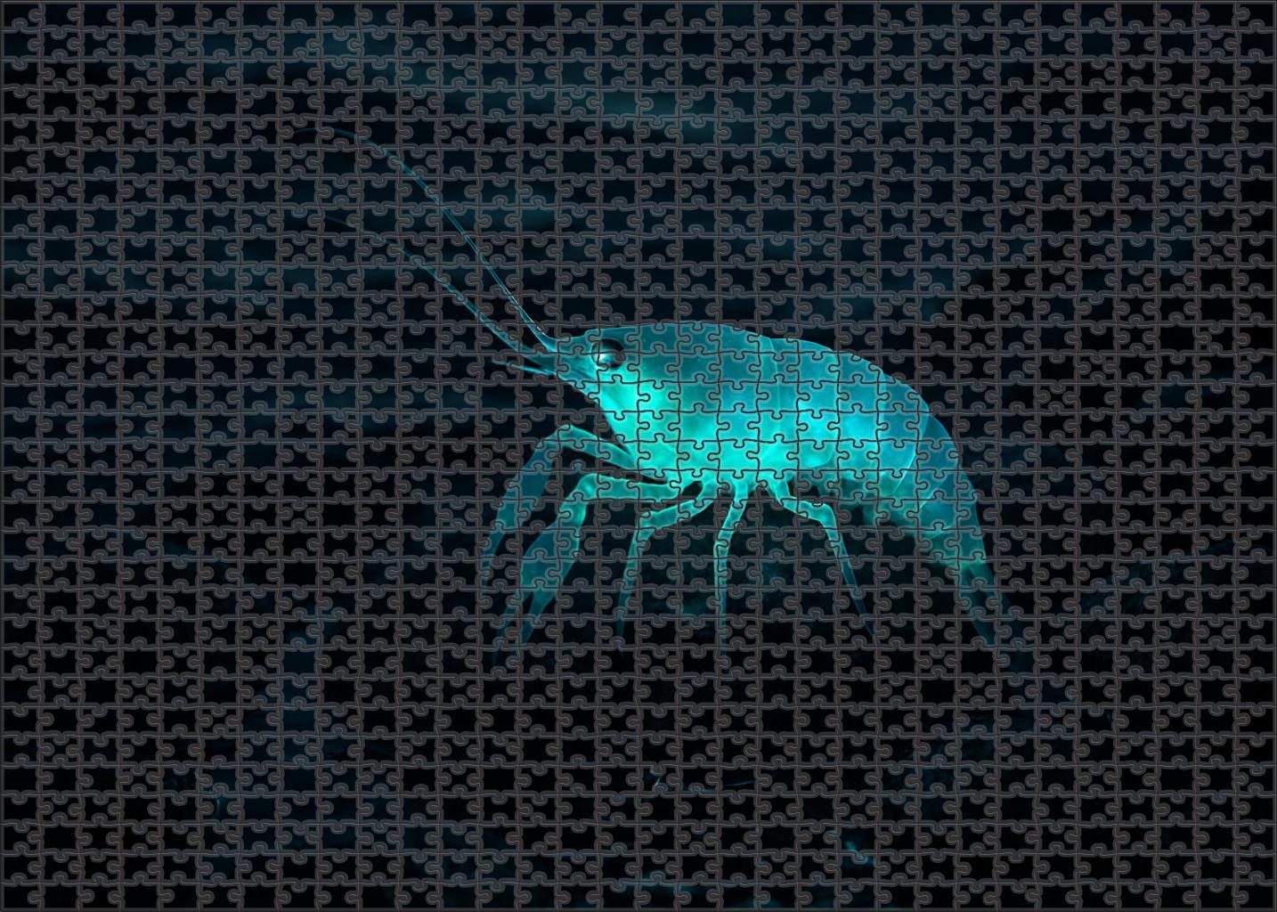 Luminous Tidecrawler Bioluminescent Crustacean With Multifaceted Eyes Large Format Puzzle