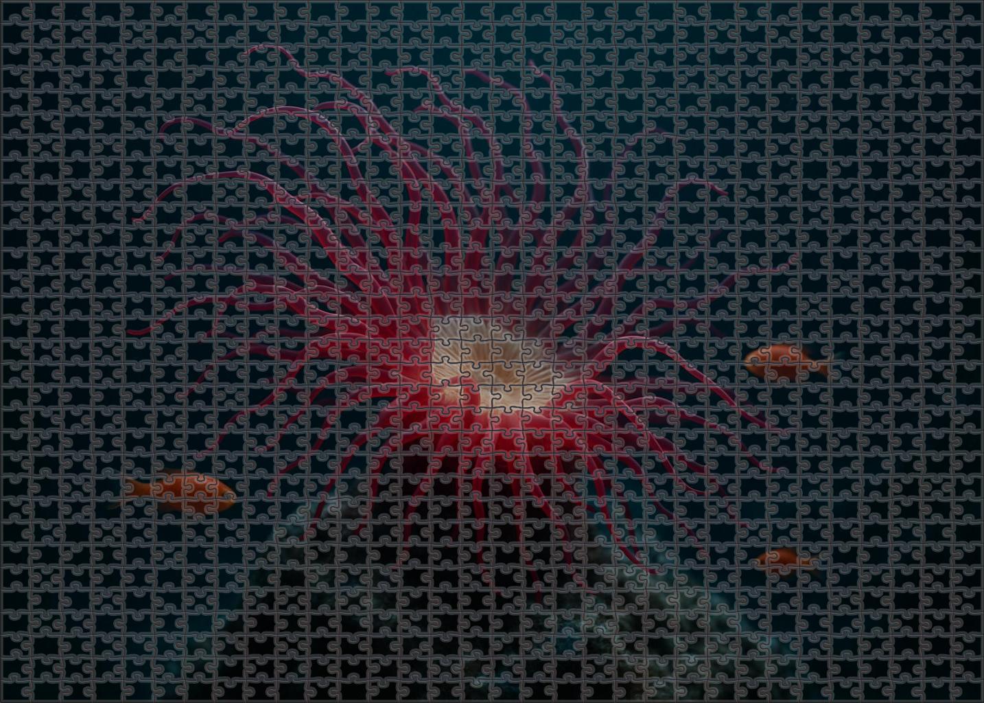 Crimson Veil Anemone Enchanting Tentacle Ballet Performer Puzzle For Adults