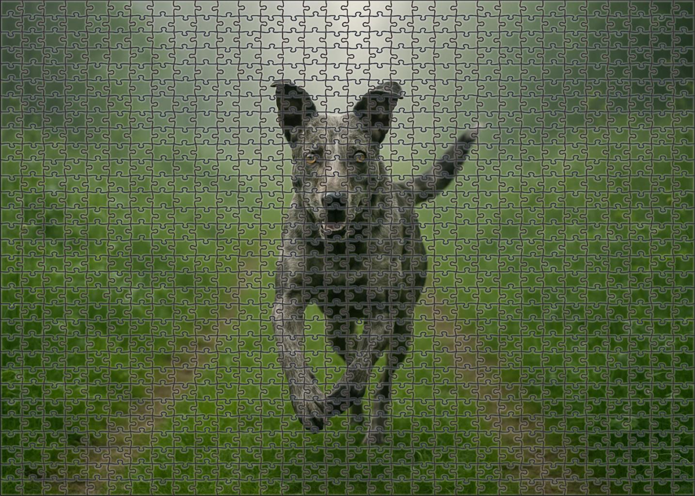 Dappled Mist Puzzle Challenge