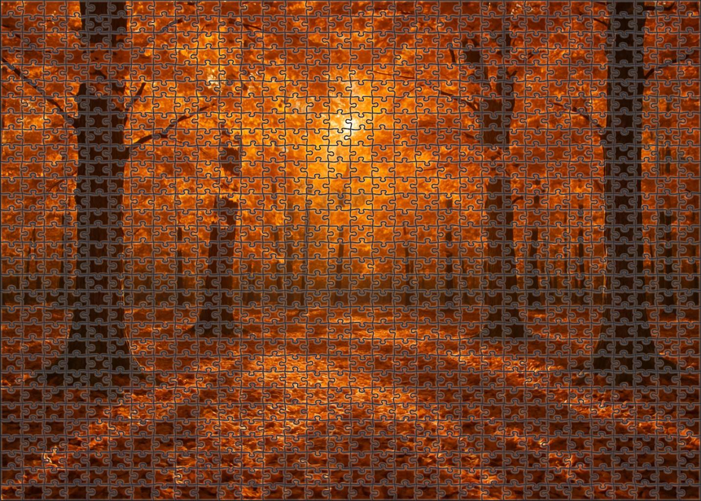 Amber Leaf Glen Easy Puzzles
