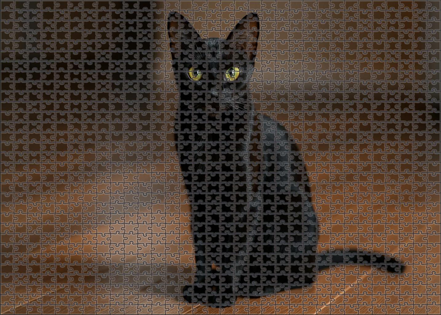 Onyx Whisper Sleek Black Oriental Shorthair With Piercing Eyes Puzzle Challenge