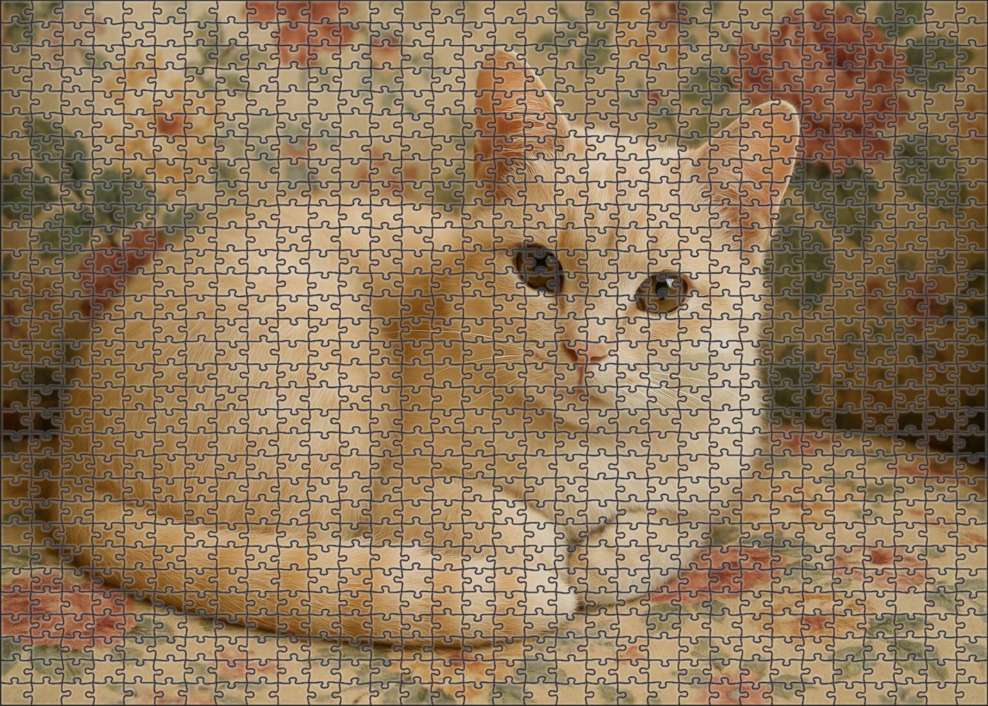 Peach Blossom Delicate Cream-furred Cat With Sweet Disposition 1000 Piece Puzzle