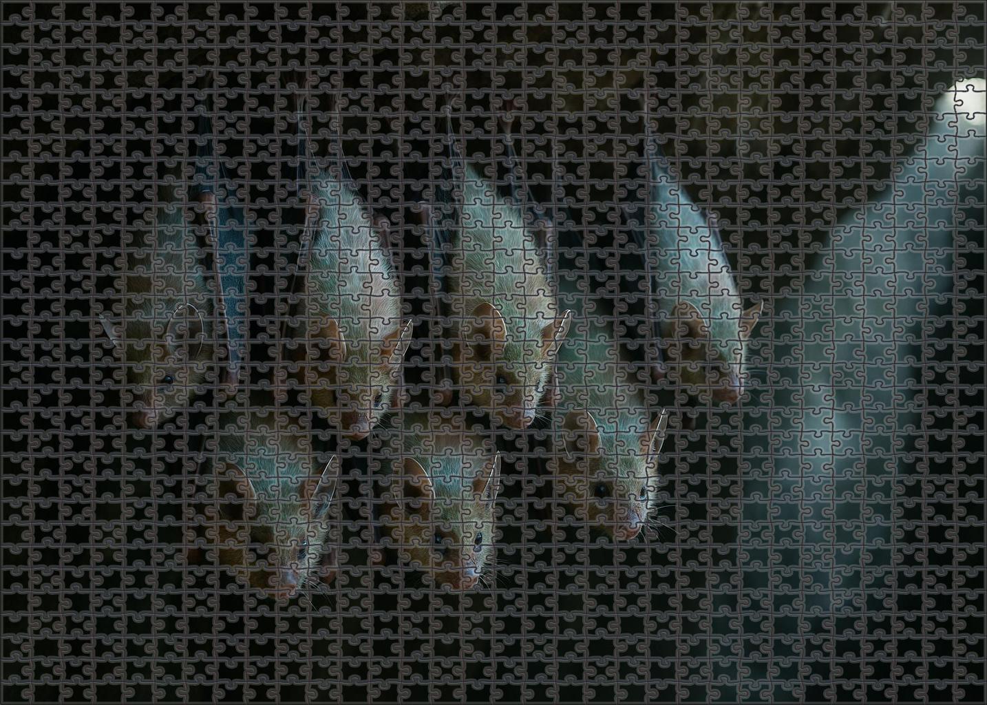 Pearlwing Bat Small Flying Mammal With Iridescent Fur And Echo-communication Custom Jigsaw Puzzle