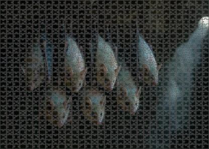 Pearlwing Bat Small Flying Mammal With Iridescent Fur And Echo-communication Custom Jigsaw Puzzle