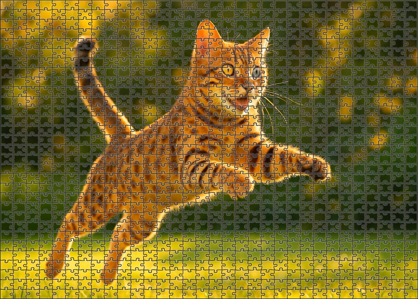 Sunlit Tawny Golden-brown Spotted Coat With Spirited Playfulness Mini Puzzle