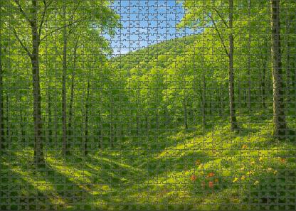 Verdant Ridge Cloak 300 Piece Puzzle