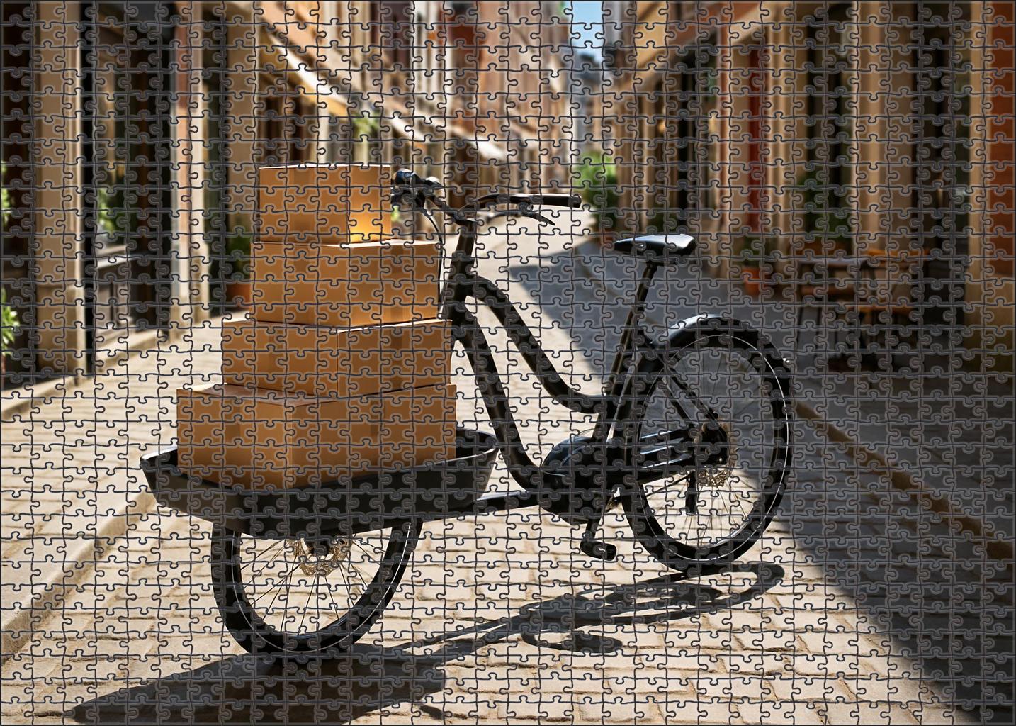 Lightweight Carbon Fiber Cargo Bicycle 100 Piece Puzzle