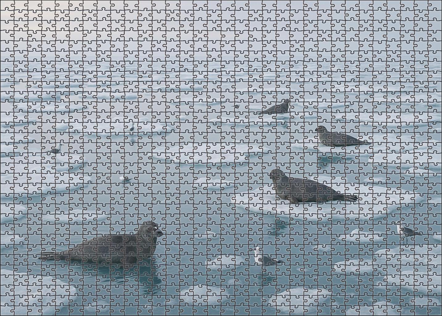 Frost Edge Drift Icy Surface Floes In Pale Winter Light 20 Piece Puzzle