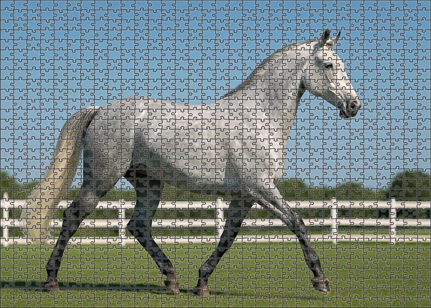 Frostline Whisper Icy Gray Gaited Mare With Floating Trot Puzzle Collection