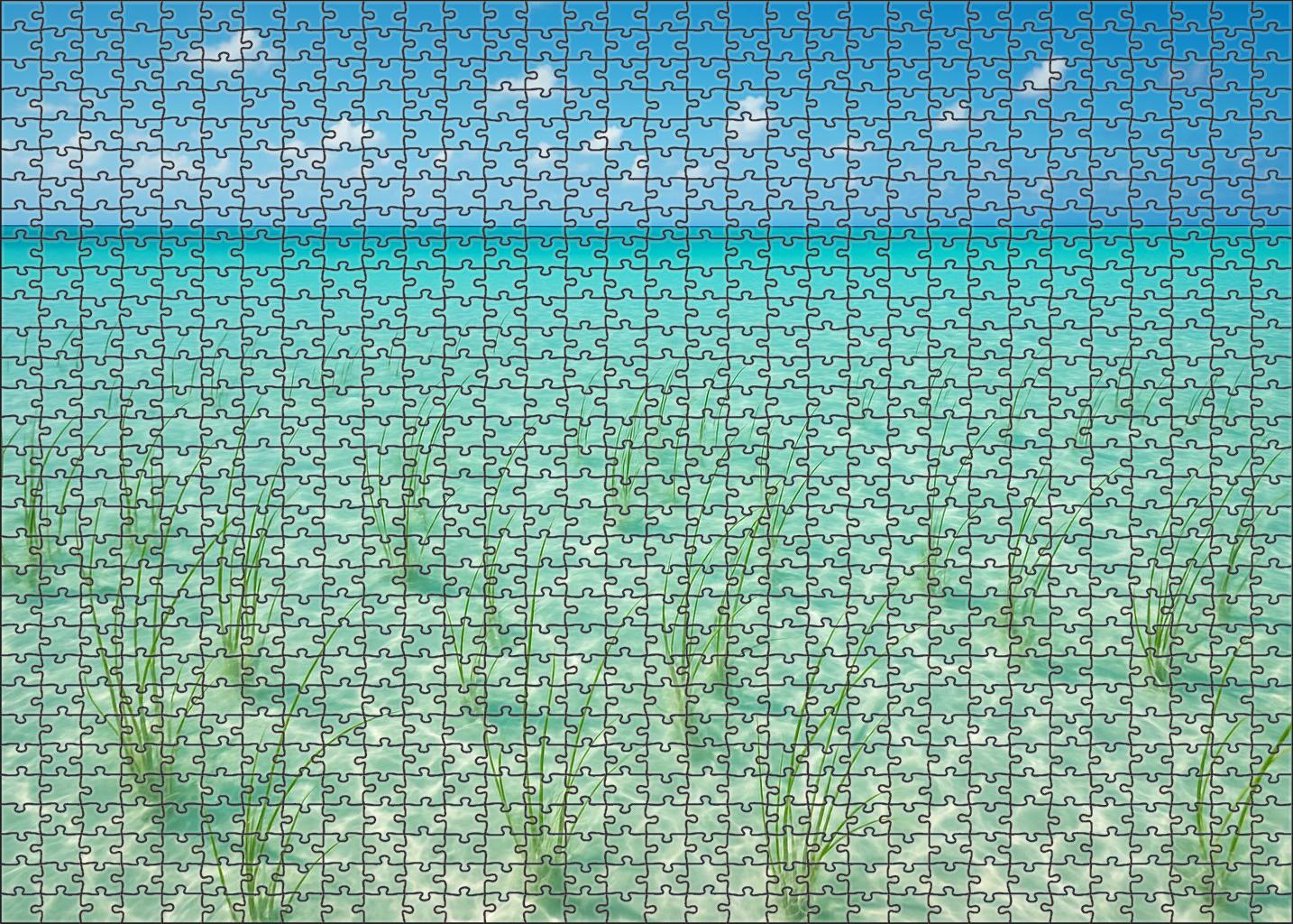 Sandy Lagoon Inlet 1000 Piece Puzzle