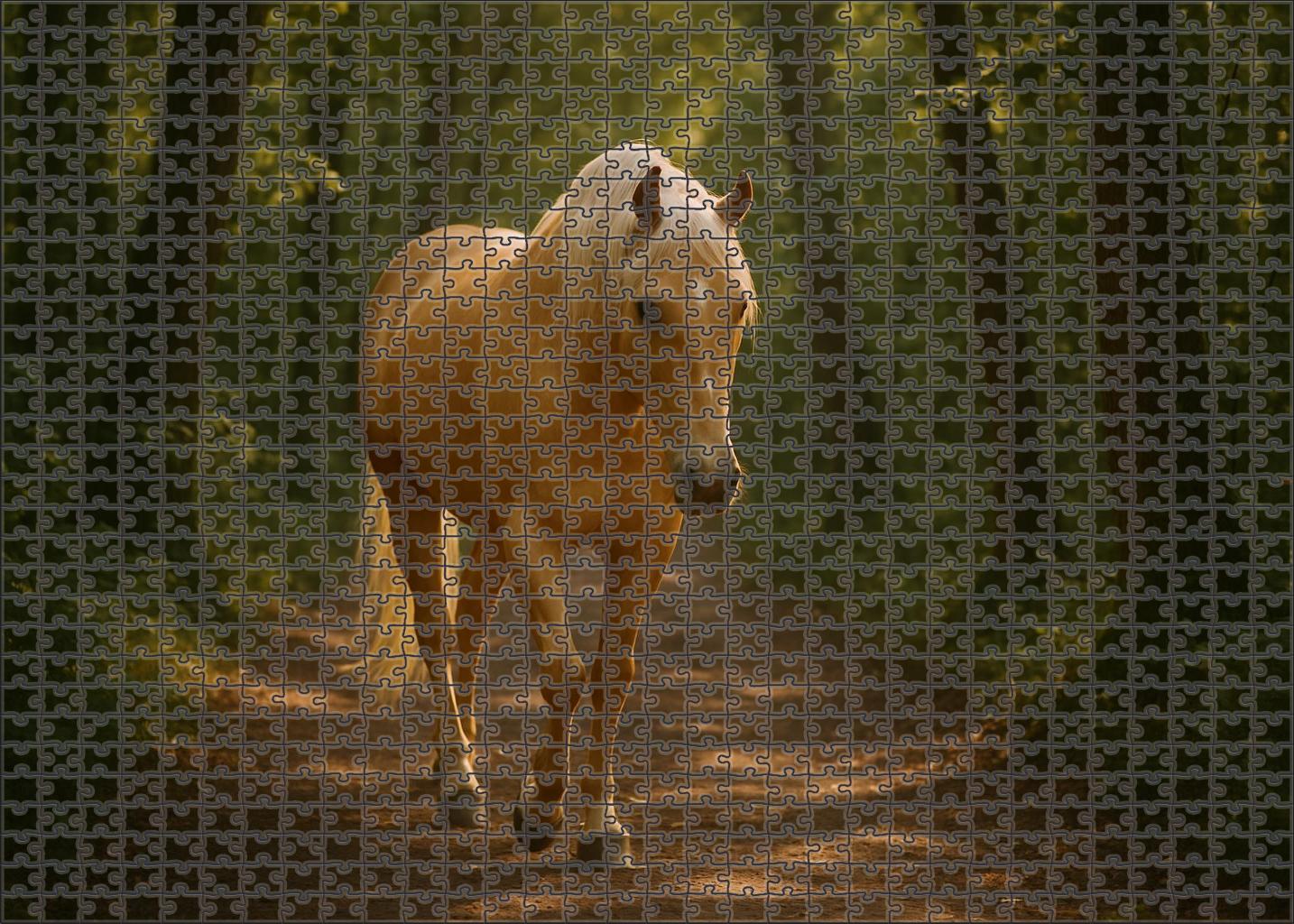 Golden Ember Radiant Palomino Mare With Steady Relaxed Gait Easy Puzzles