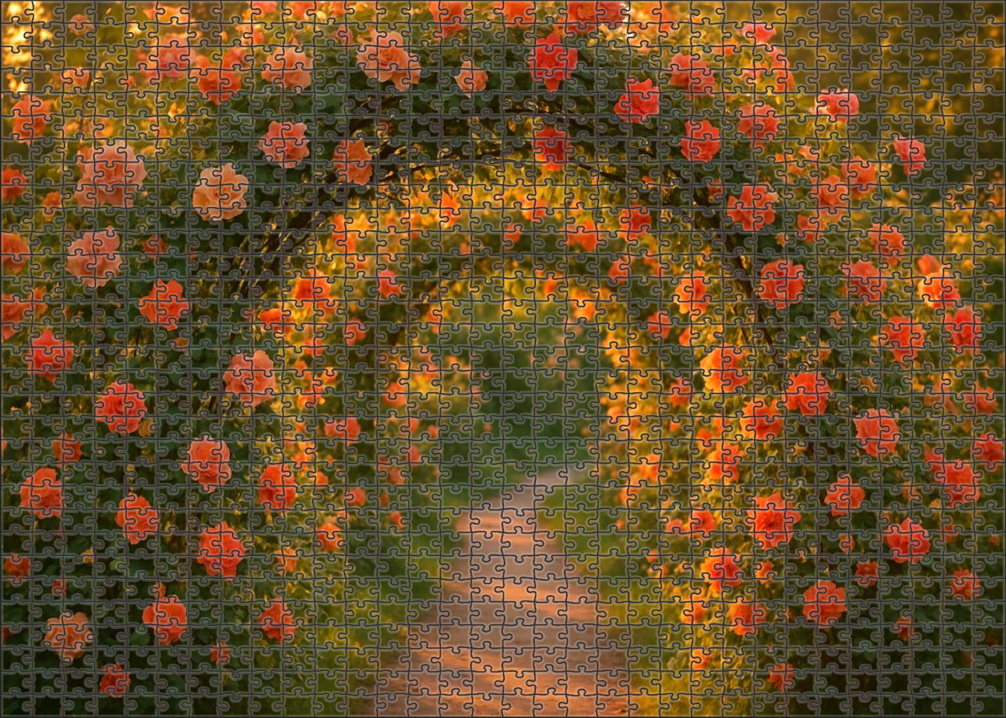 Sunset Orchard Lane Family Puzzles