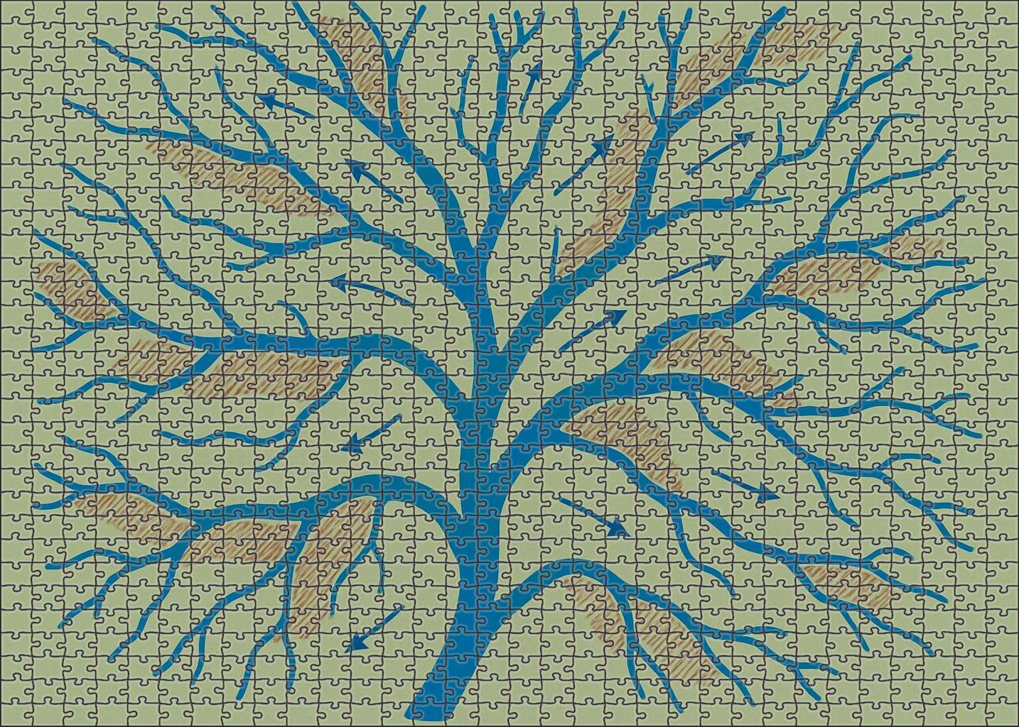River Delta Hydrodynamic Flowchart Mini Puzzle