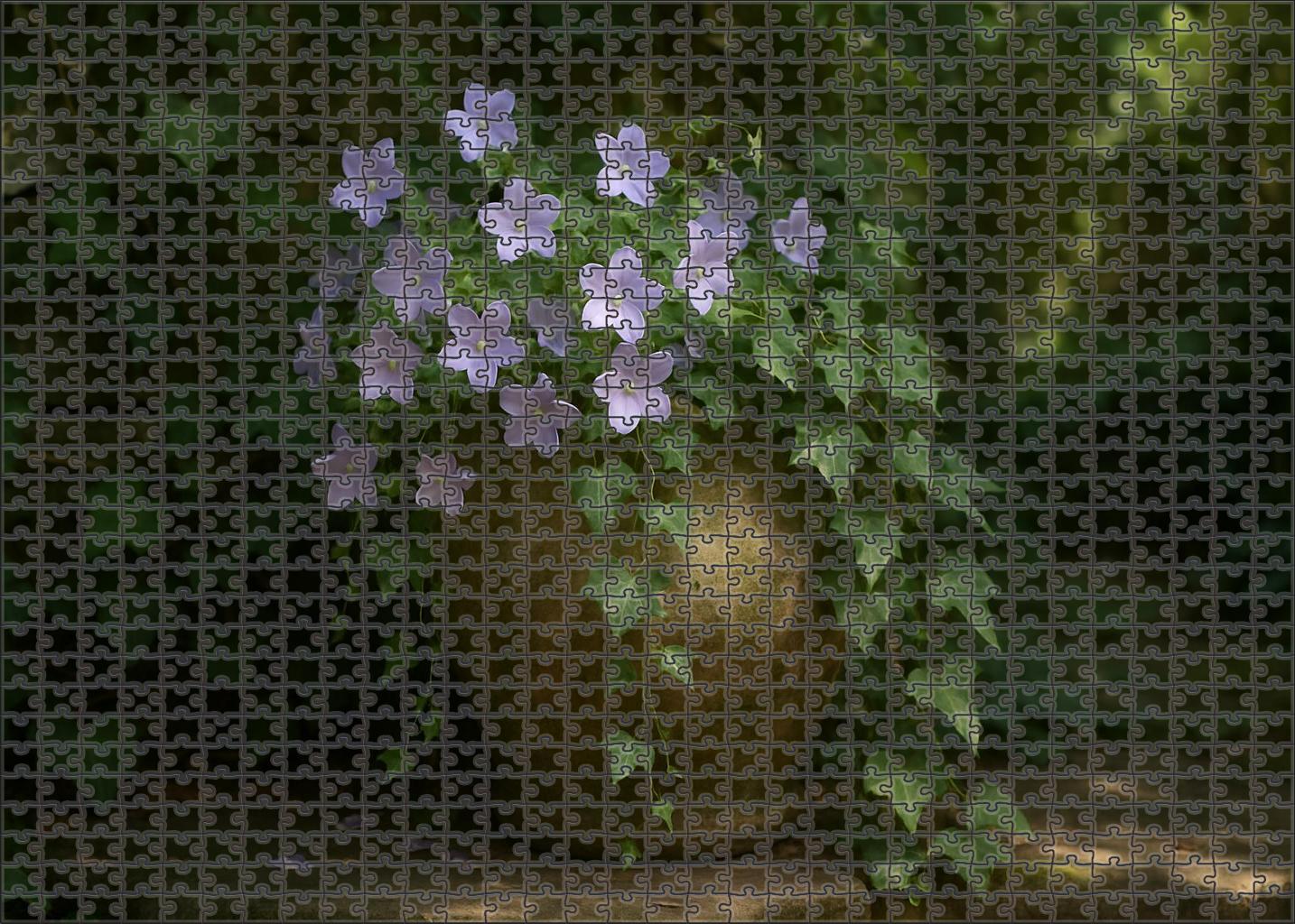 Ivy And Lilac Corner Family Puzzles