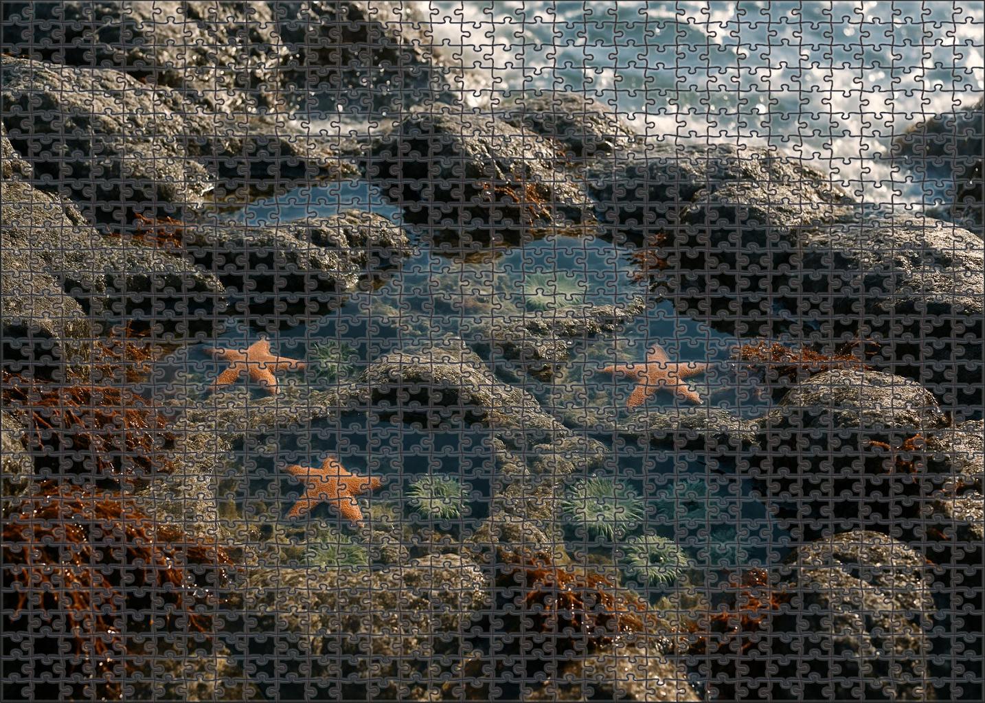 Silver Tide Pool Haven Custom Jigsaw Puzzle