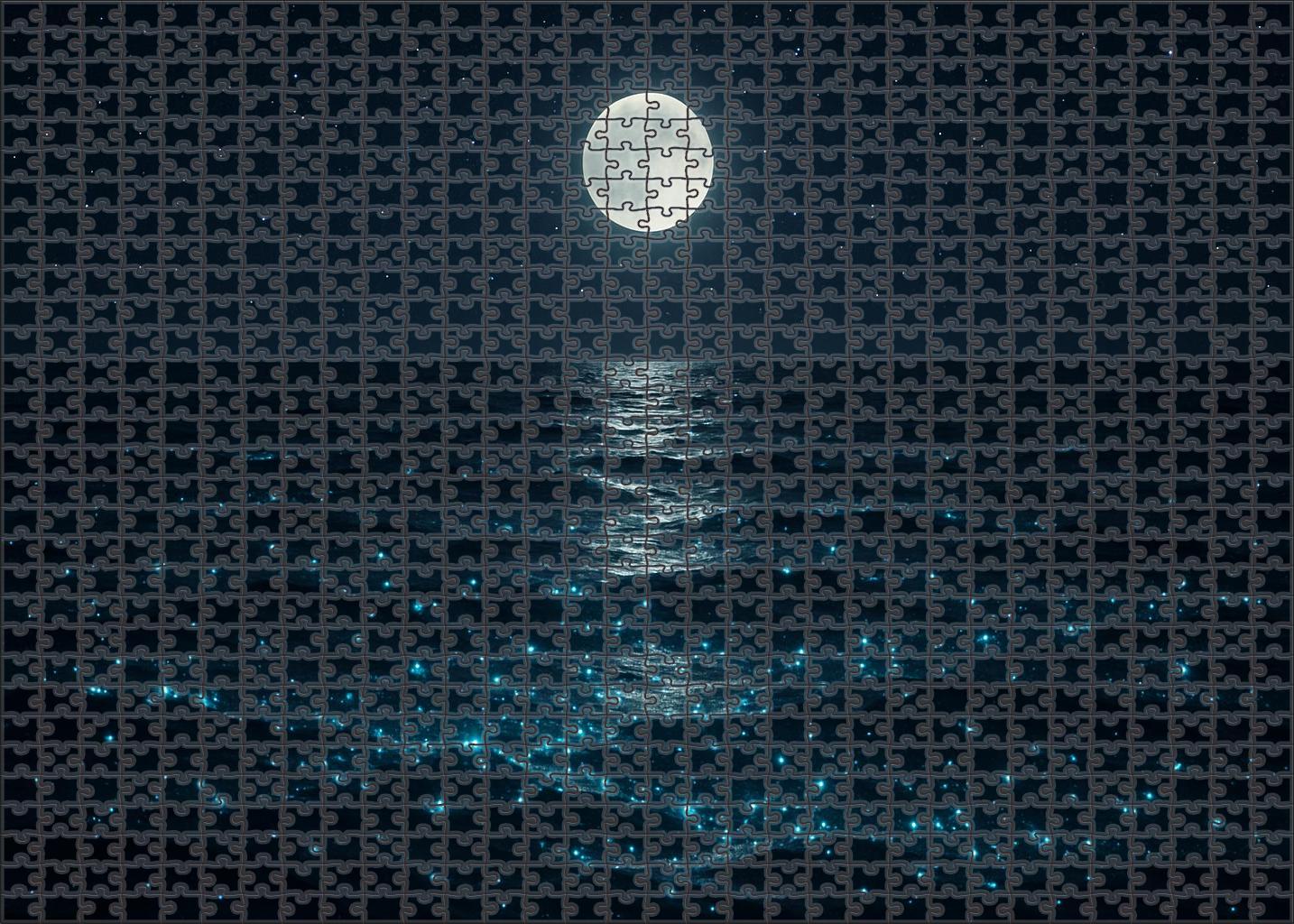 Moonlit Bioluminescent Drift 300 Piece Puzzle