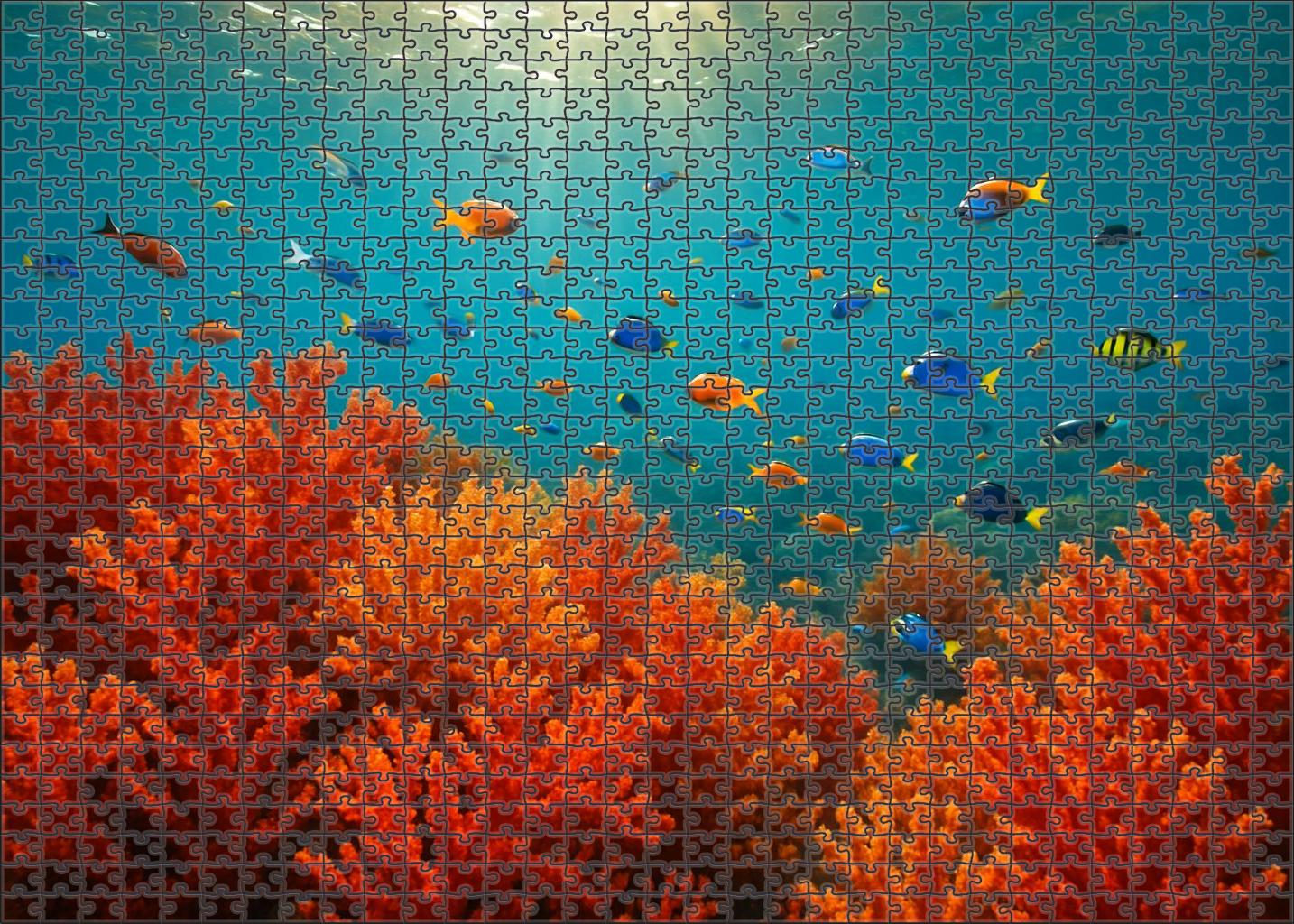 Crimson Coral Maze Vibrant Reef Network Teeming With Tropical Life Challenging Puzzles