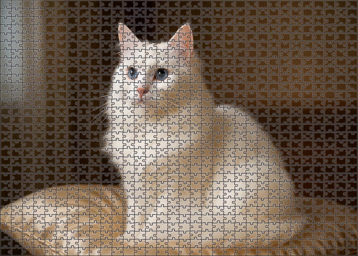 Pearl Silk 50 Piece Puzzle