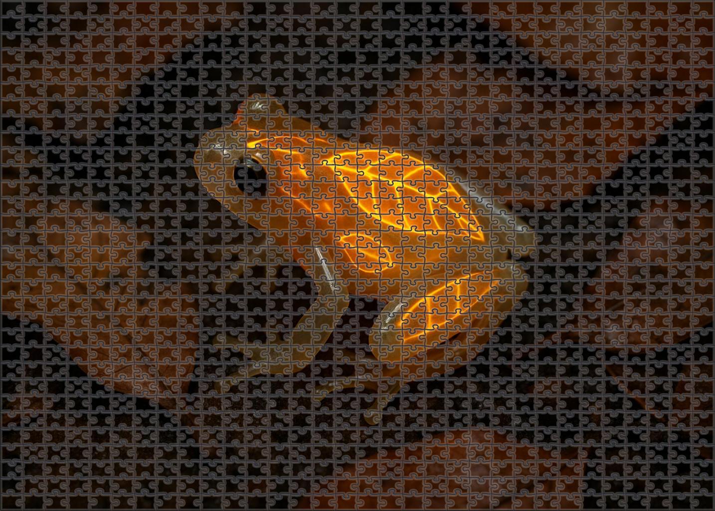 Amber Veil Frog Camouflaged Amphibian With Translucent Skin Patterns Puzzle Fun