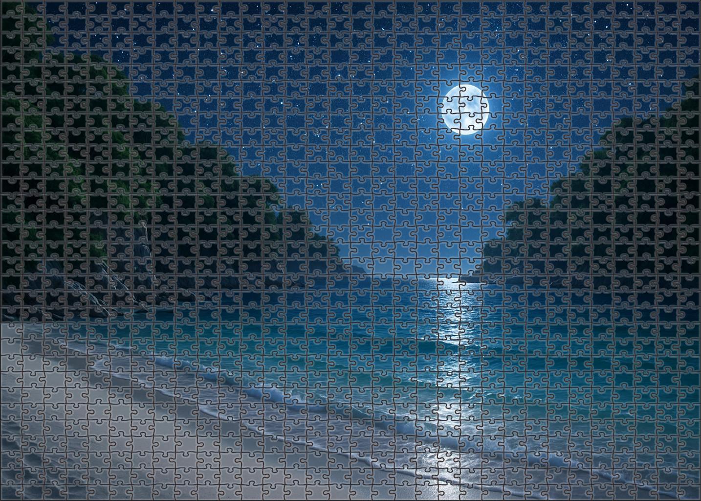 Secluded Moonlit Bay 100 Piece Puzzle