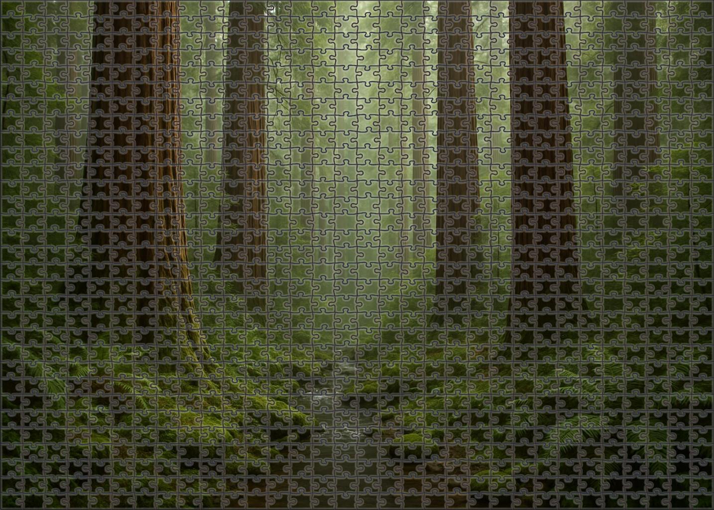 Whispering Redwood Glade 200 Piece Puzzle