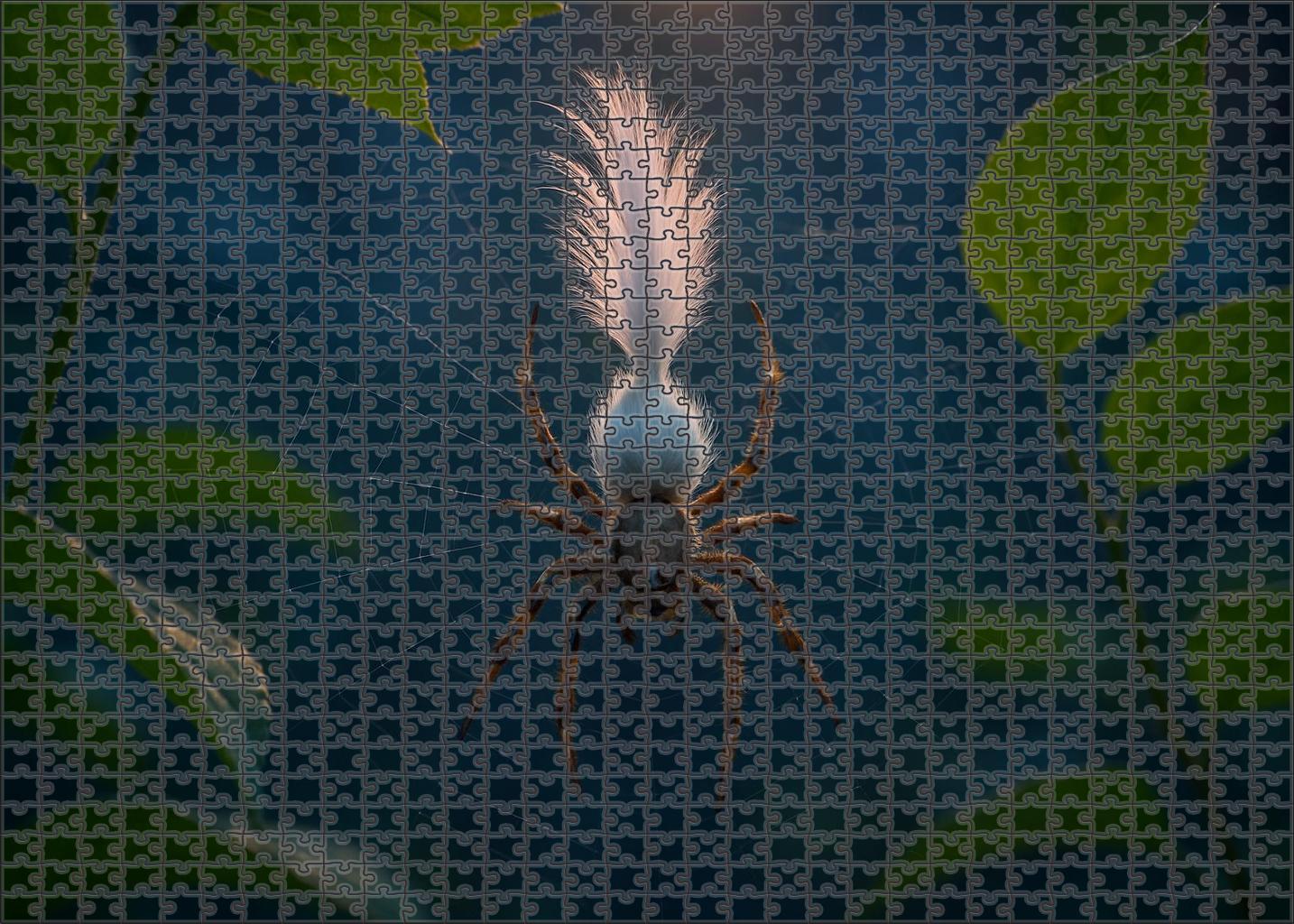 Ivory Crest Spiderling Arboreal Weaver With Ornate Head Plumes Puzzle For Adults