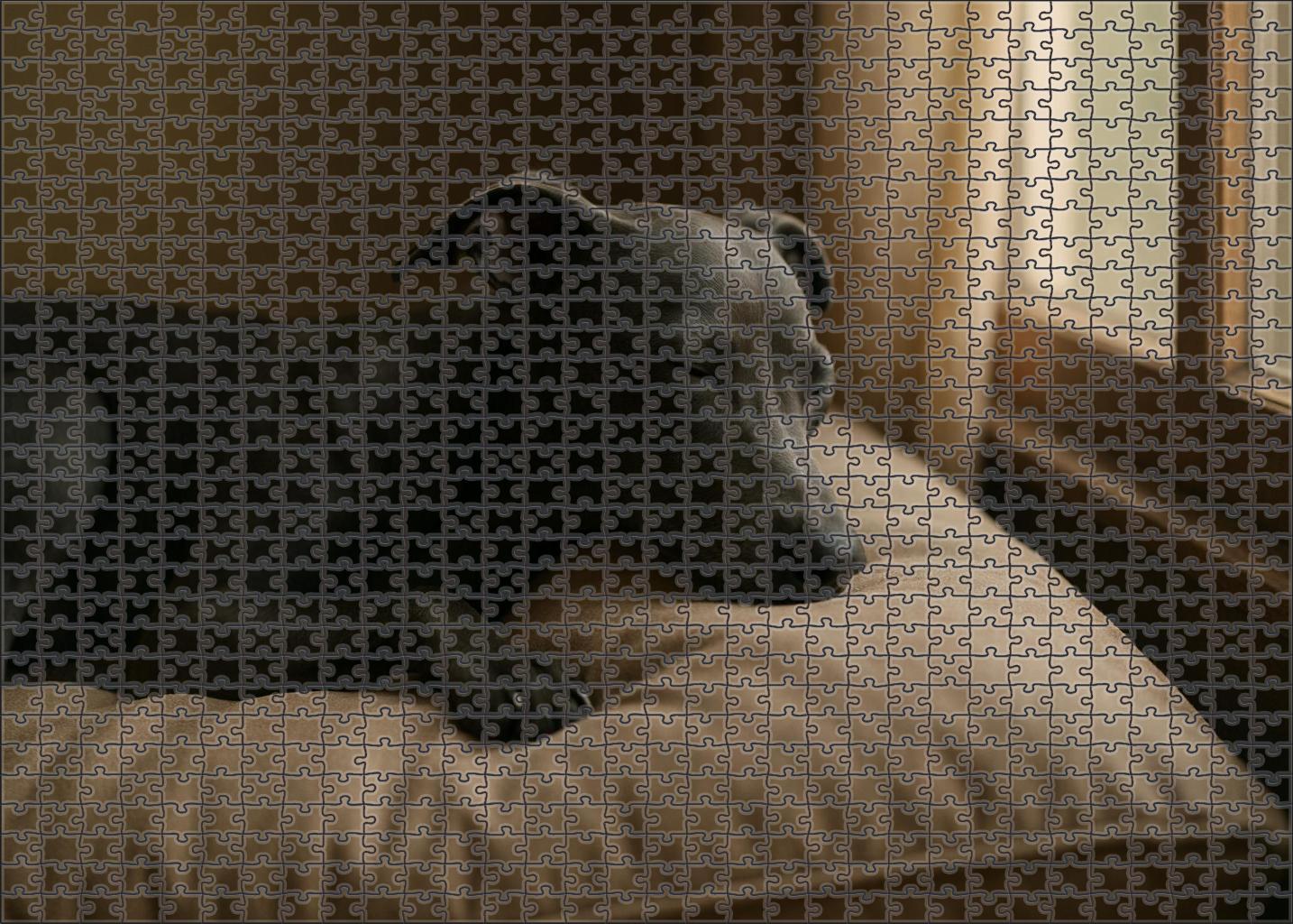 Shadow Veil Family Puzzles