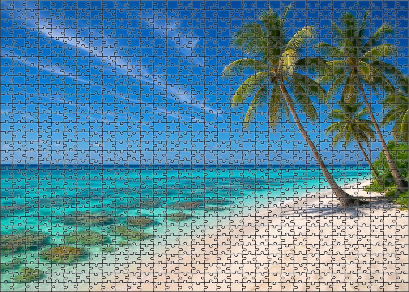 Coral Bay Hideaway 100 Piece Puzzle