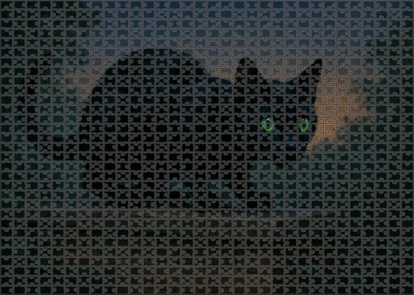 Shadow Flicker Sleek Black Shorthair With Stealthy Elegance 1000 Piece Puzzle