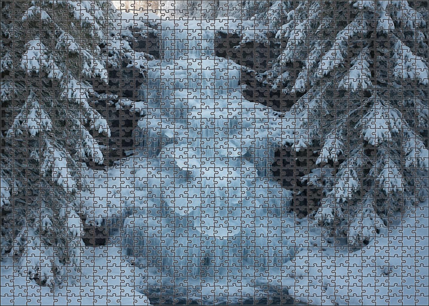 Silent Ice Blossom Falls 100 Piece Puzzle
