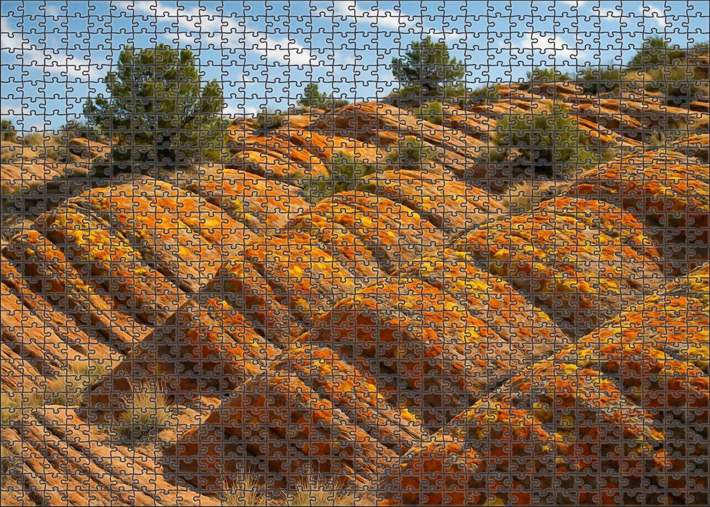 Amber Lichen Heights Puzzle Challenge
