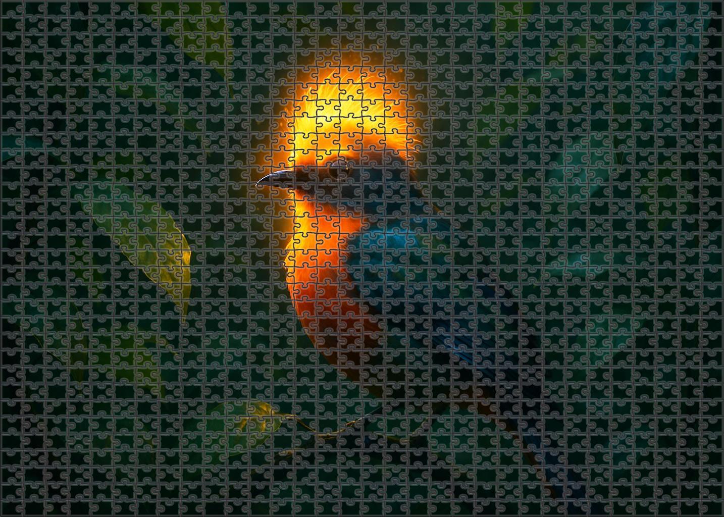 Glowing Hornbill Vibrantly Plumed Bird With Luminescent Crest And Social Foraging Habits Puzzle Collection