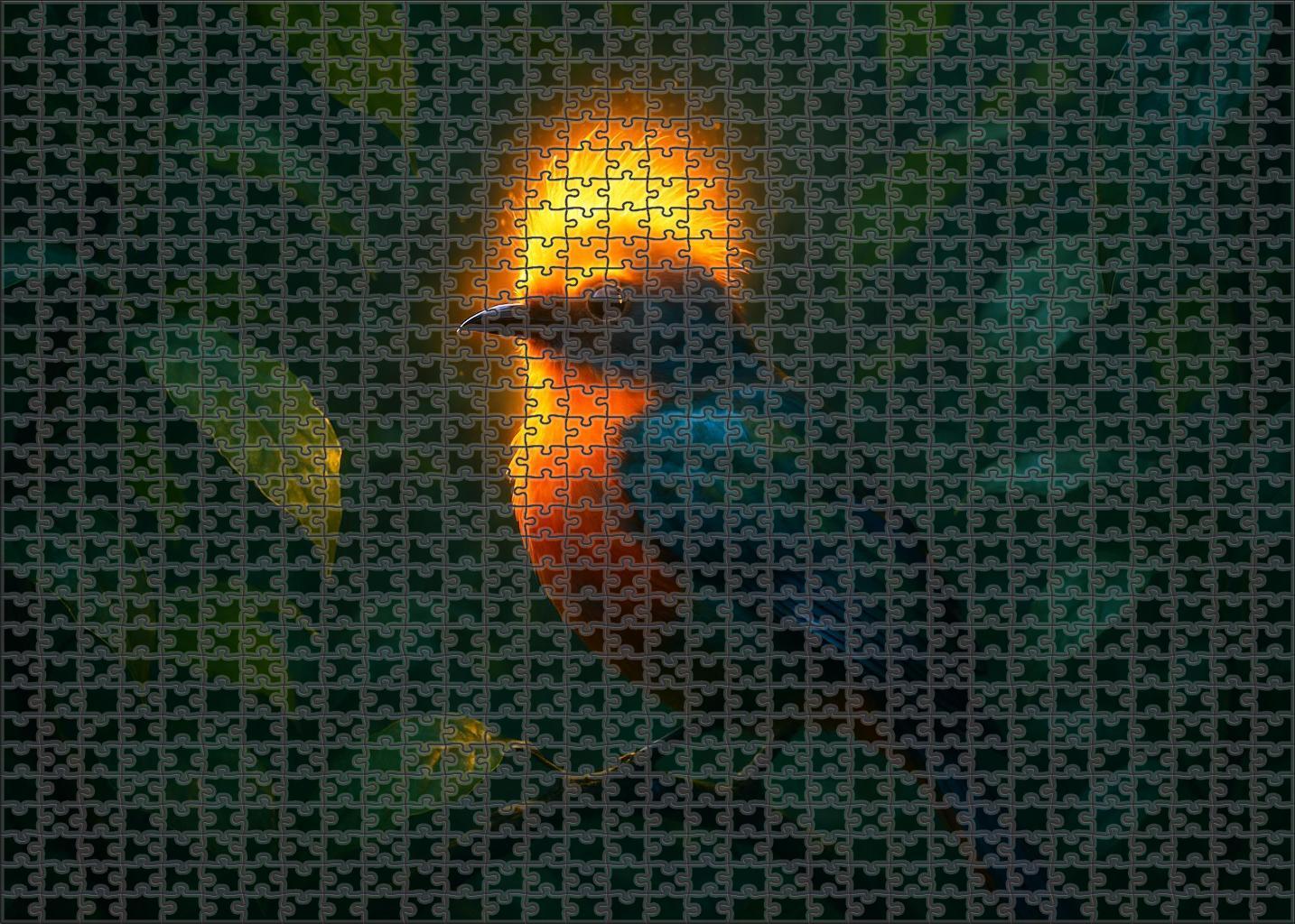 Glowing Hornbill Vibrantly Plumed Bird With Luminescent Crest And Social Foraging Habits Puzzle Collection
