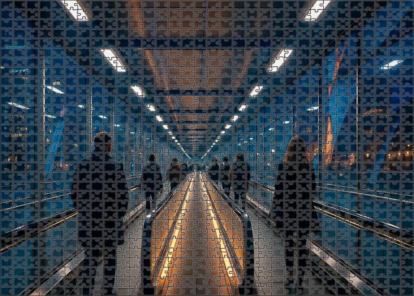 Magnetic Levitation Pedestrian Conveyor 100 Piece Puzzle