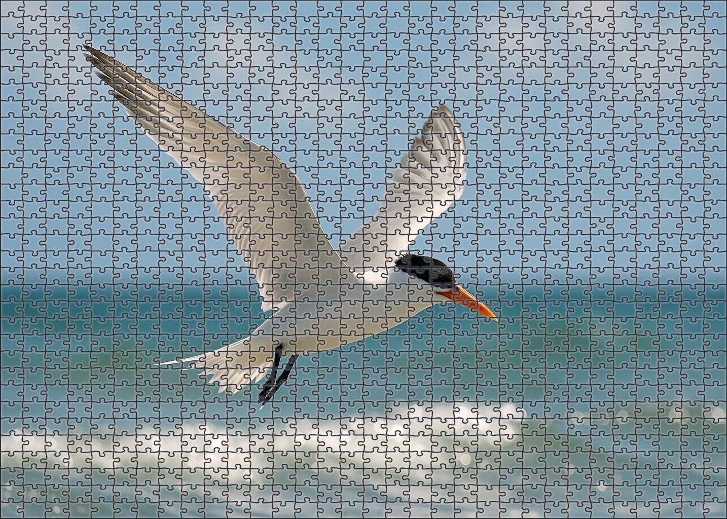 Elegant Tern Coastal Skimmer Custom Jigsaw Puzzle