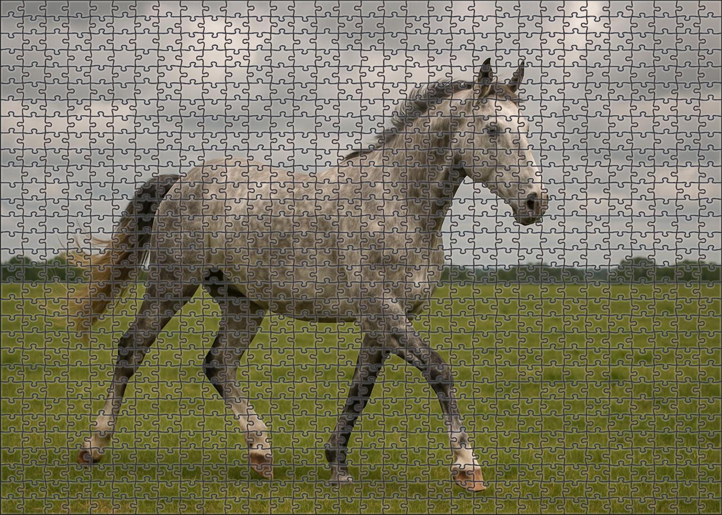 Dapple Mist Soft Gray Gelding With Expressive Movement Puzzle For Adults