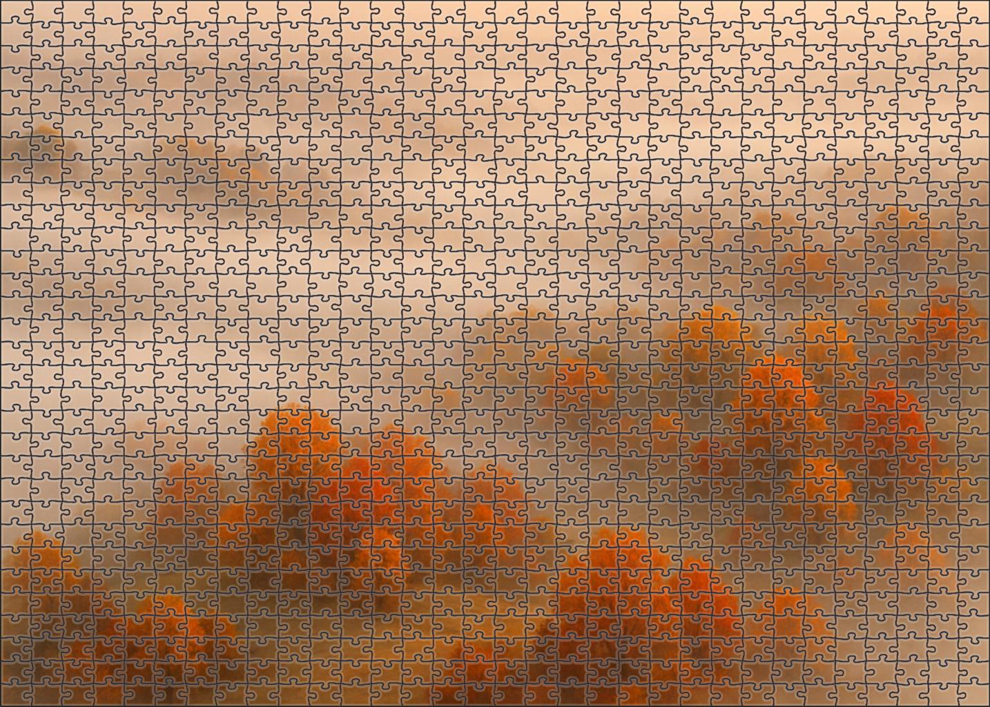 Mystic Fog Valley 50 Piece Puzzle