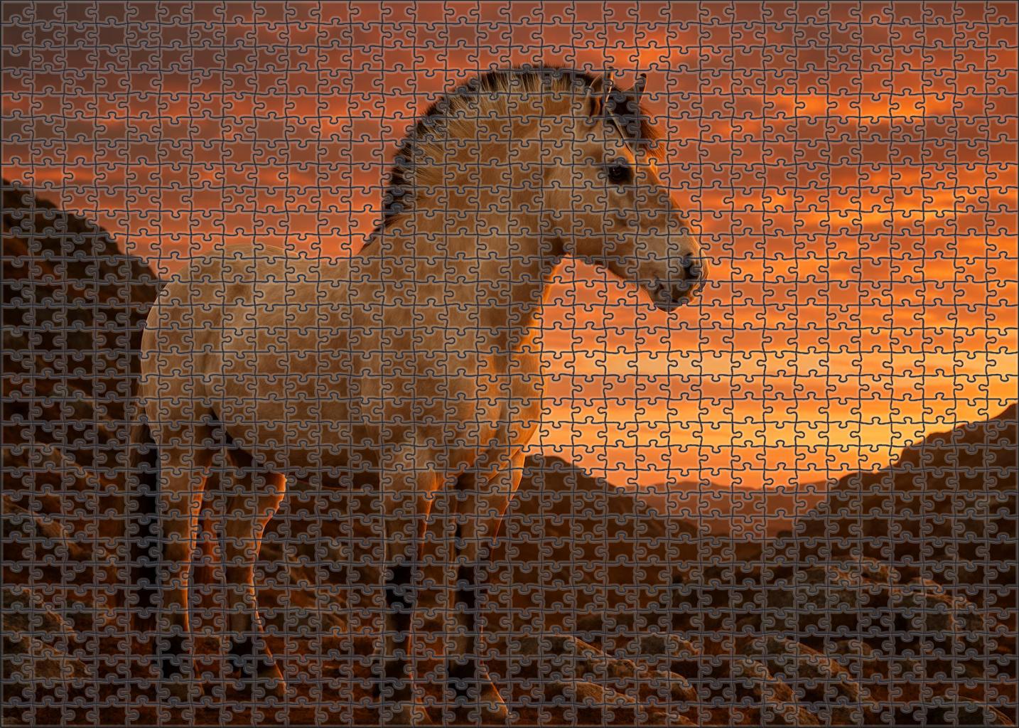 Ivory Moon Fjord Robust Cream Roan Stallion With Enduring Strength Large Format Puzzle