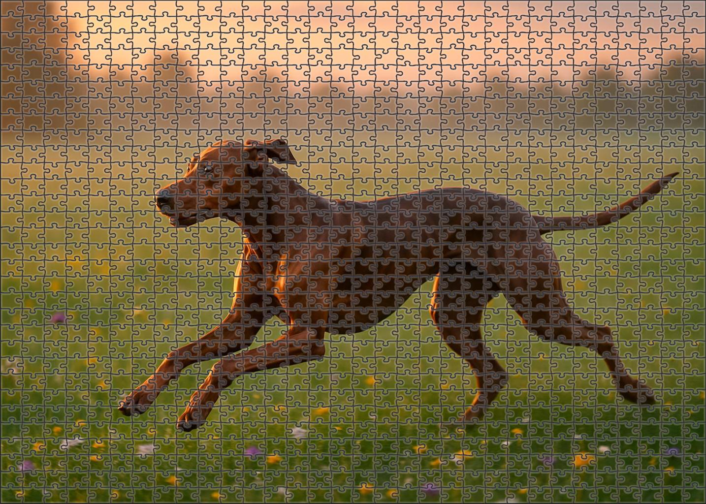 Bronze Streak Puzzle For Kids