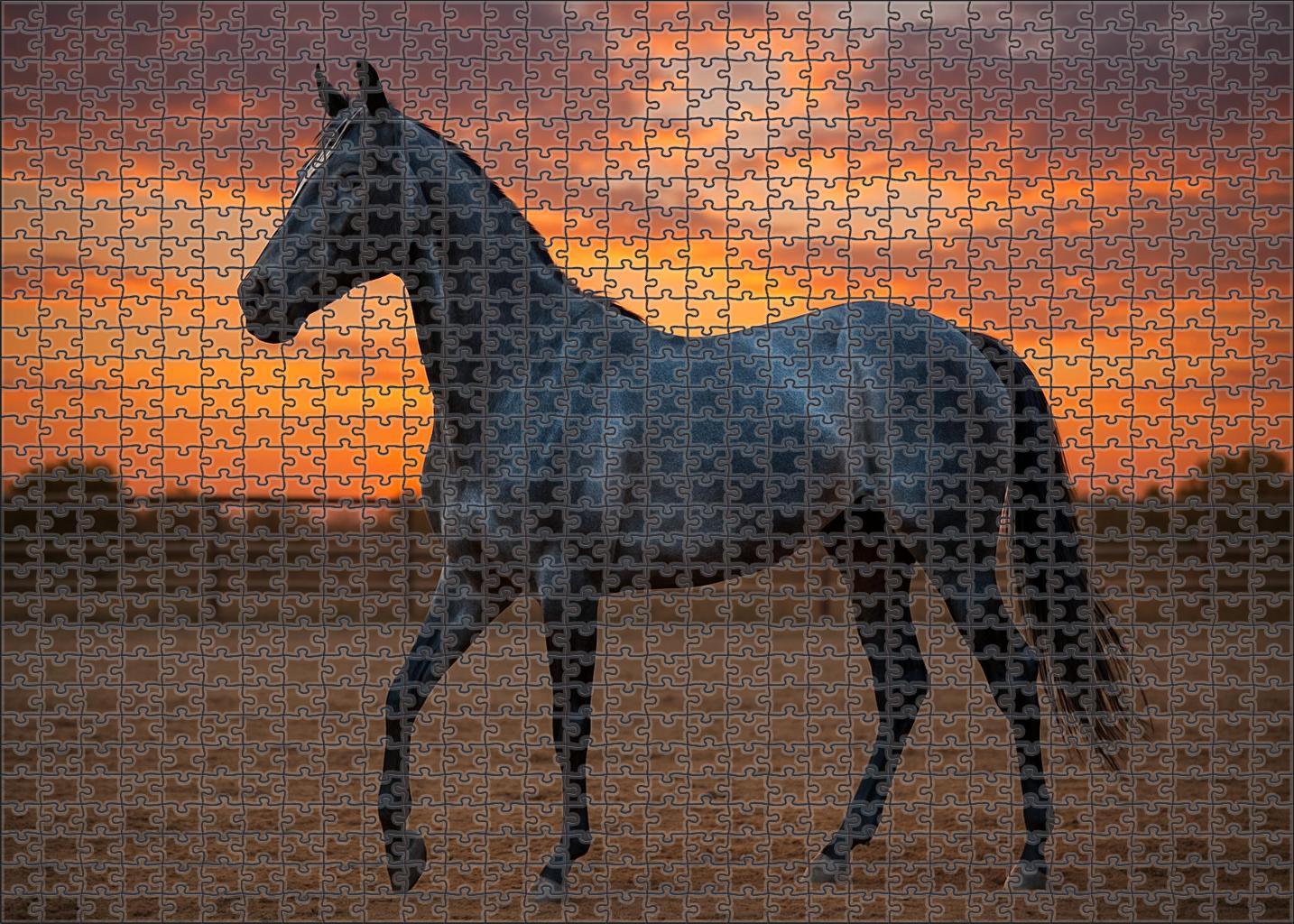Azure Breeze Elegant Blue Roan Quarter Horse Mare 500 Piece Puzzle