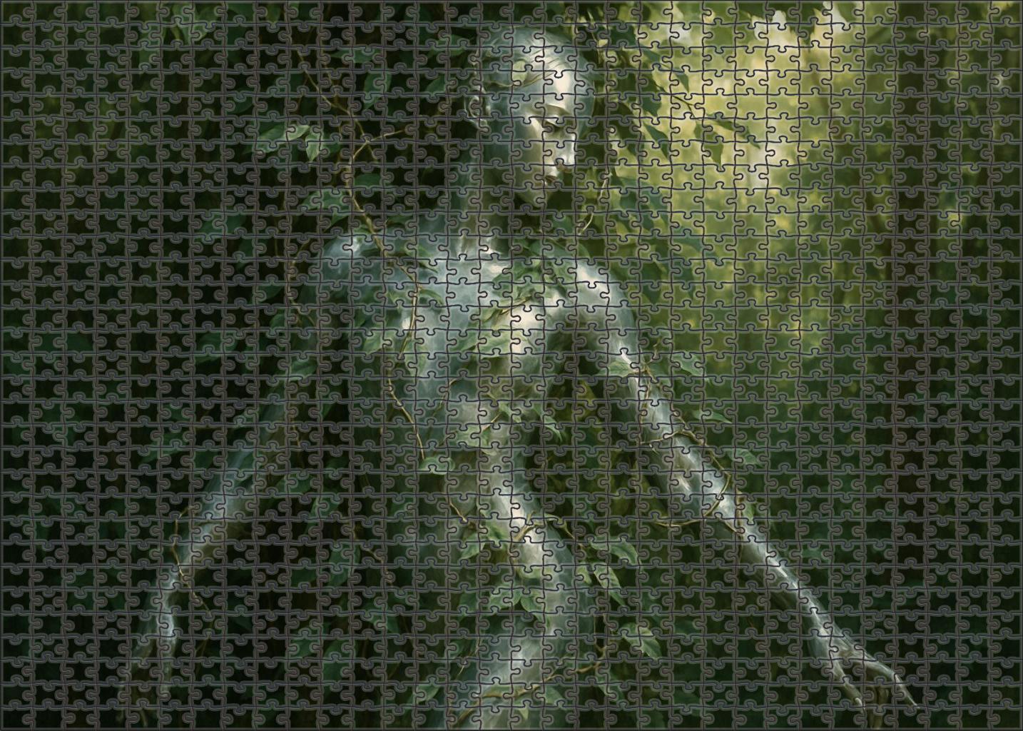 Silverbark Dryad 1000 Piece Puzzle