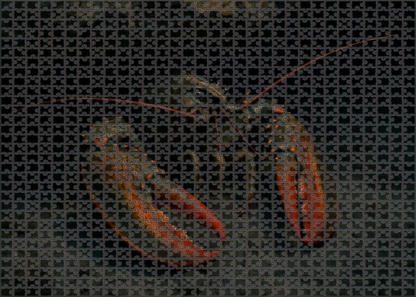 Amber Spotted Lobster Robust Crustacean With Patterned Claws And Nocturnal Foraging 200 Piece Puzzle