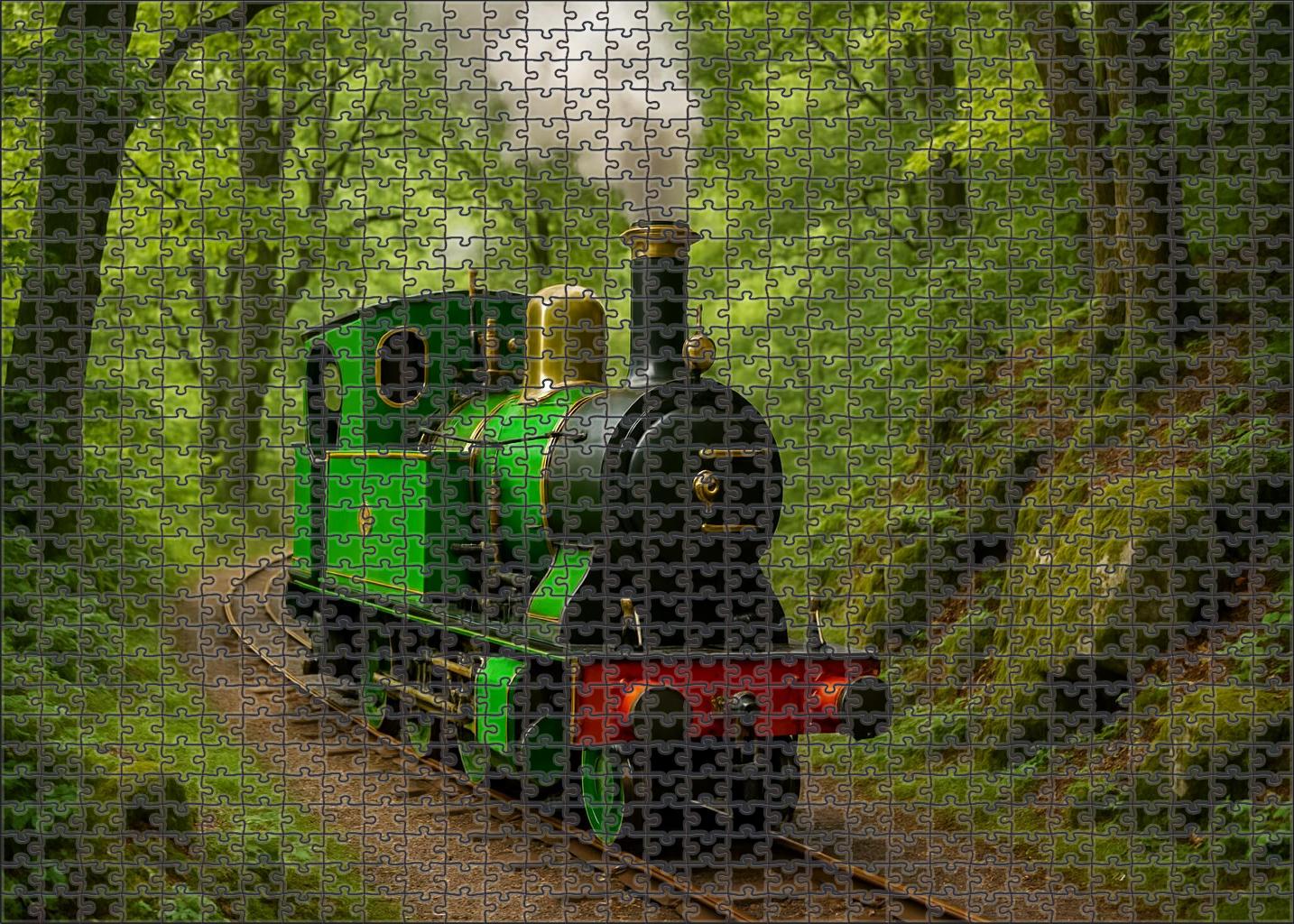 Emerald Forest Narrow Gauge Steam 20 Piece Puzzle