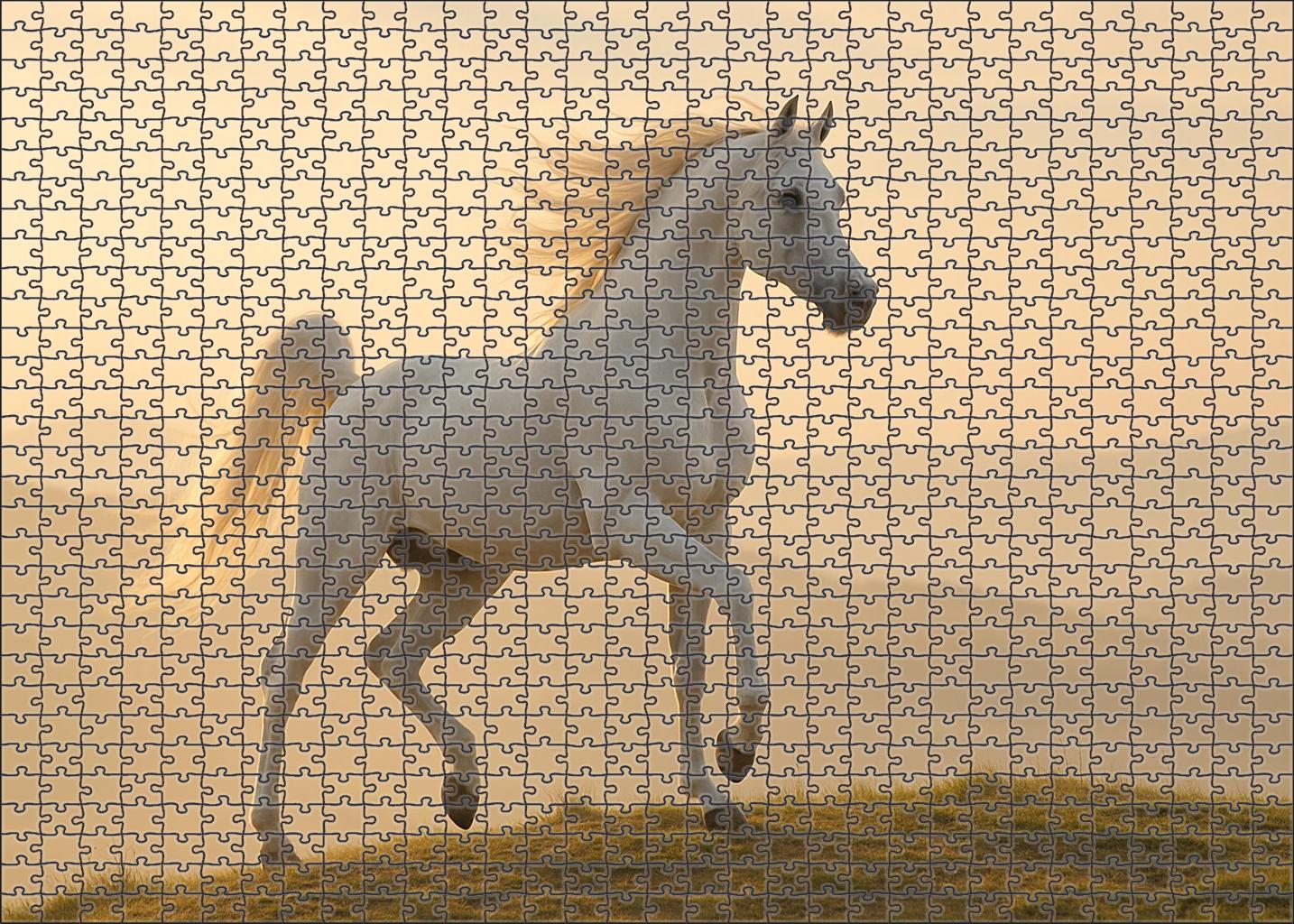 Celestial Frost Elegant White Arabian Stallion With Expressive Movement Custom Jigsaw Puzzle