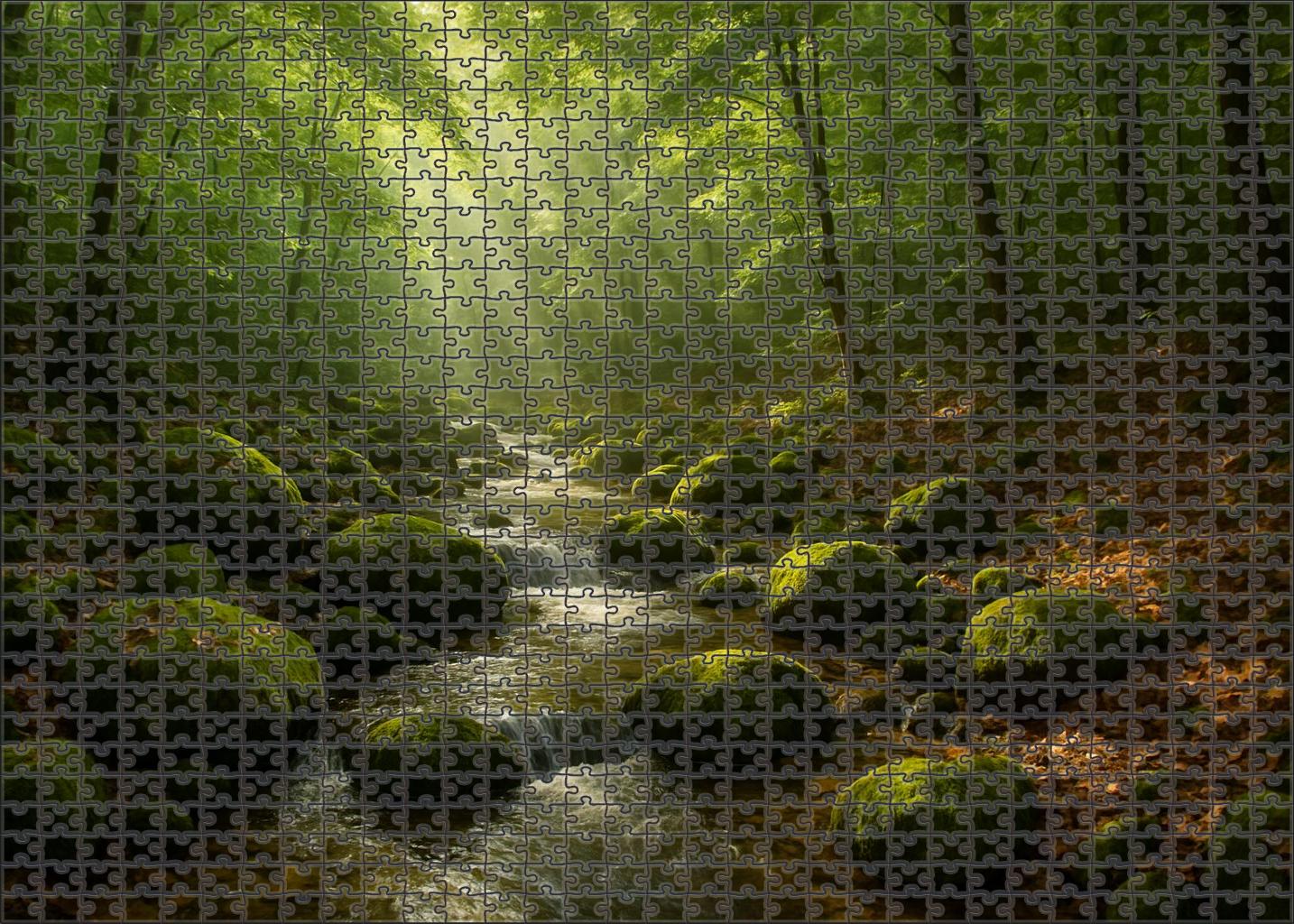 Mossy Forest Stream Puzzle Collection