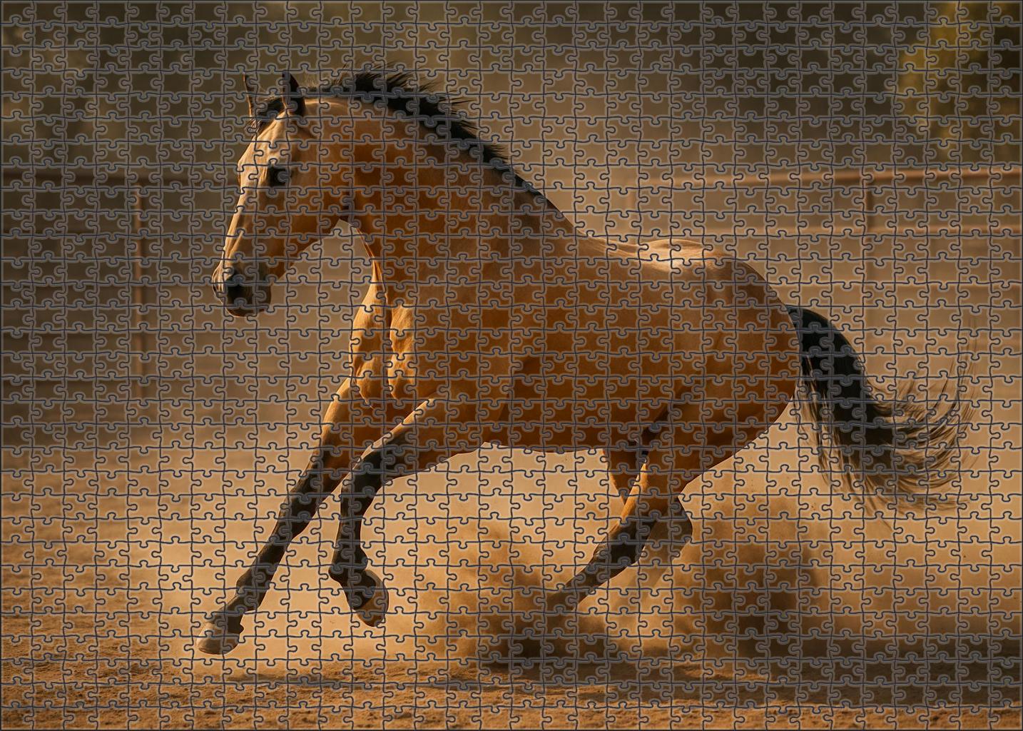 Emerald Spirit Stock Horse Vibrant Buckskin Gelding With Agile Frame Custom Jigsaw Puzzle