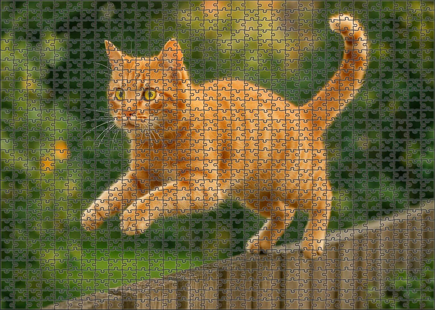 Crimson Flicker 200 Piece Puzzle