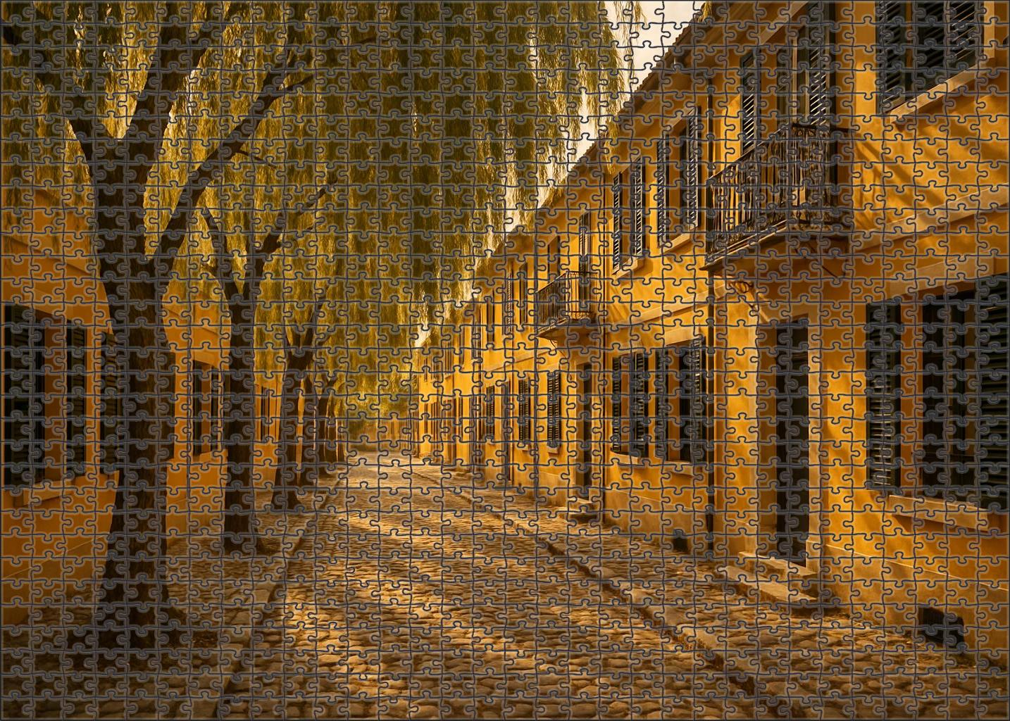 Golden Willow Row Puzzle Fun