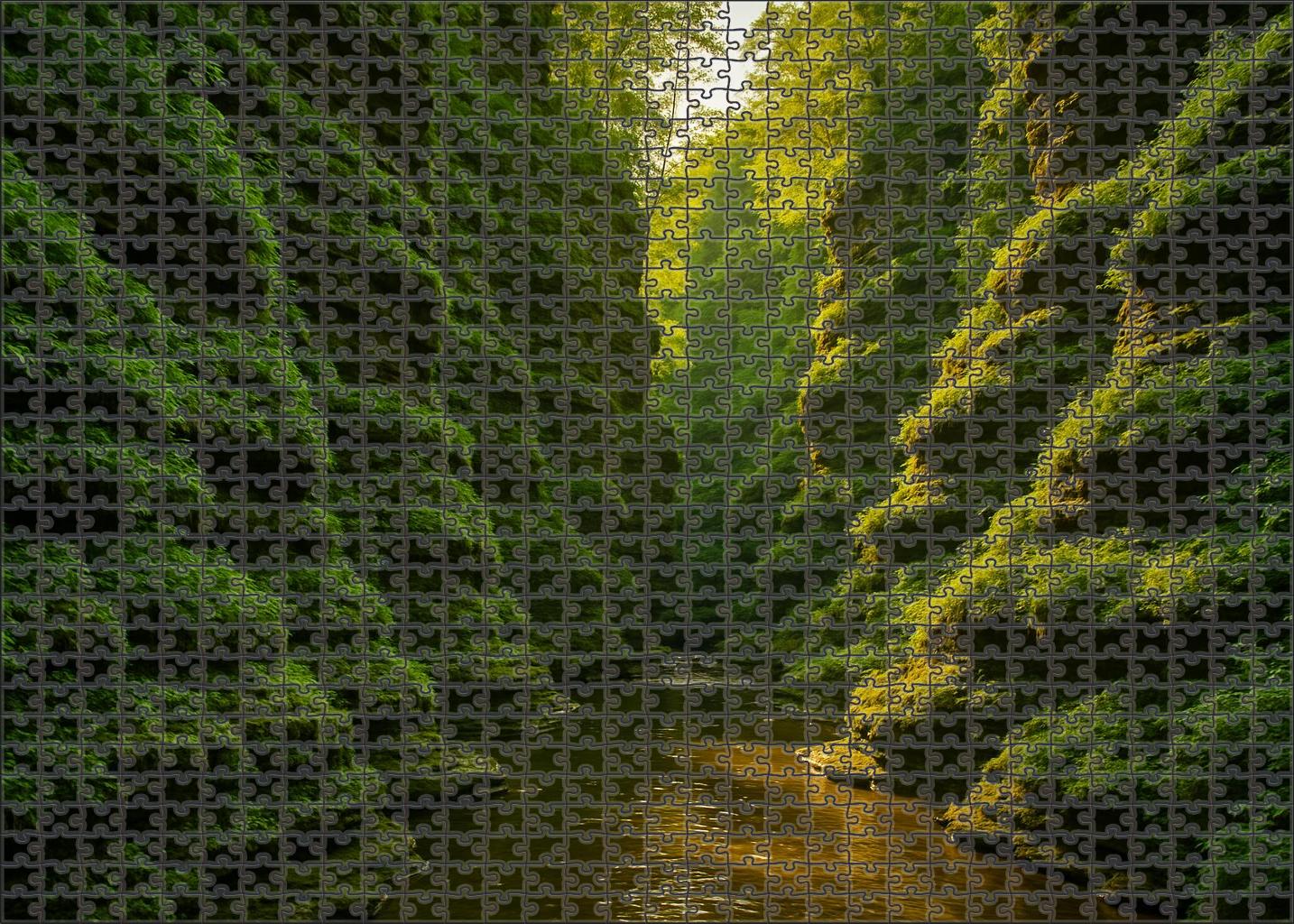 Verdant Canyon Vista 1000 Piece Puzzle